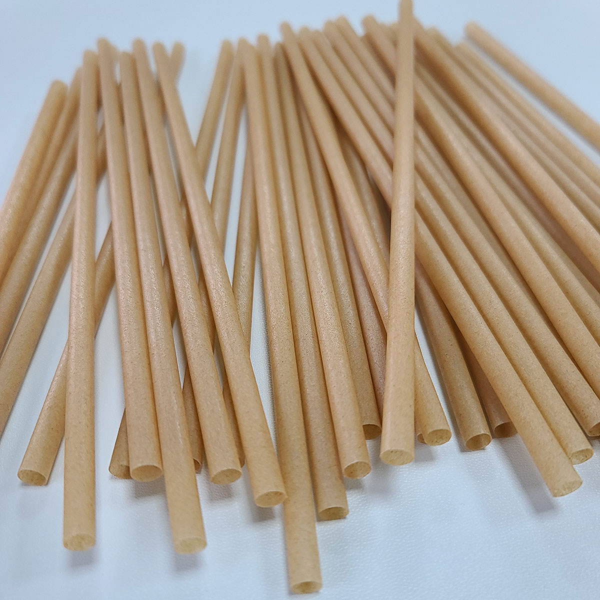 Sugarcane Straw | PLA